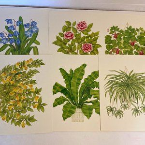 6 Vintage 1970s Limited Edition Giclee 10x8 Prints The Plant Collection By Dixie